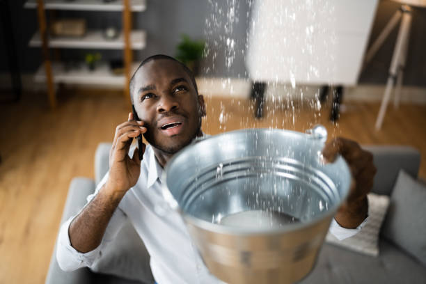 Best Water damage restoration near me  in Norman Park, GA