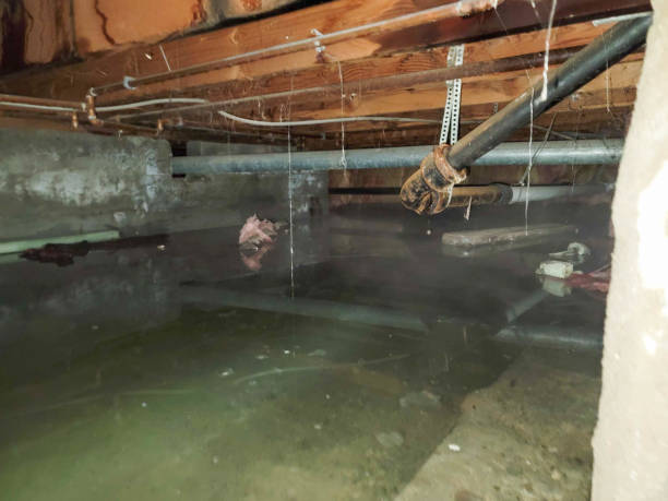 Water damage restoration insurance claims in Norman Park, GA