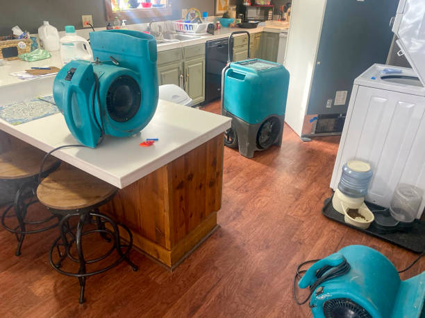 Best Carpet water damage restoration  in Norman Park, GA