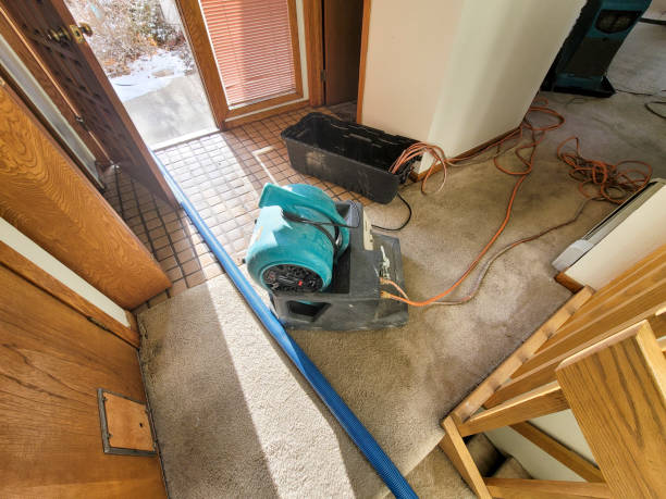 Best Emergency water damage restoration  in Norman Park, GA
