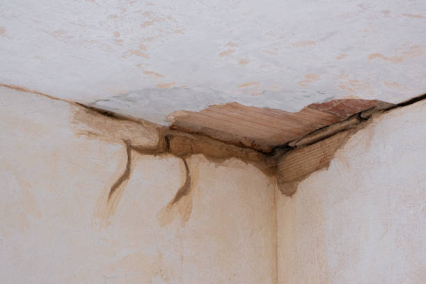 Water damage restoration experts in Norman Park, GA