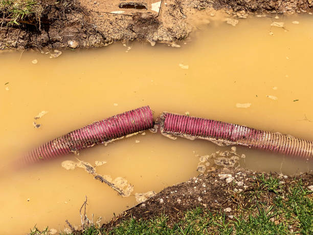 Water damage restoration mold remediation in Norman Park, GA