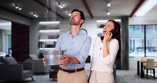 Best Fire Damage Restoration  in Norman Park, GA